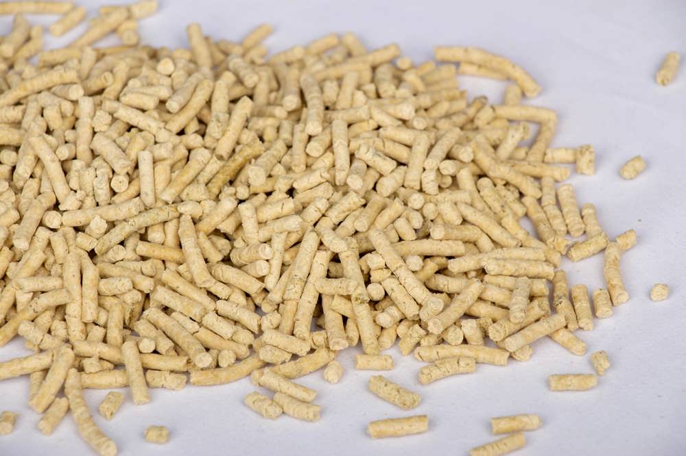 预糊化豌豆粉颗粒